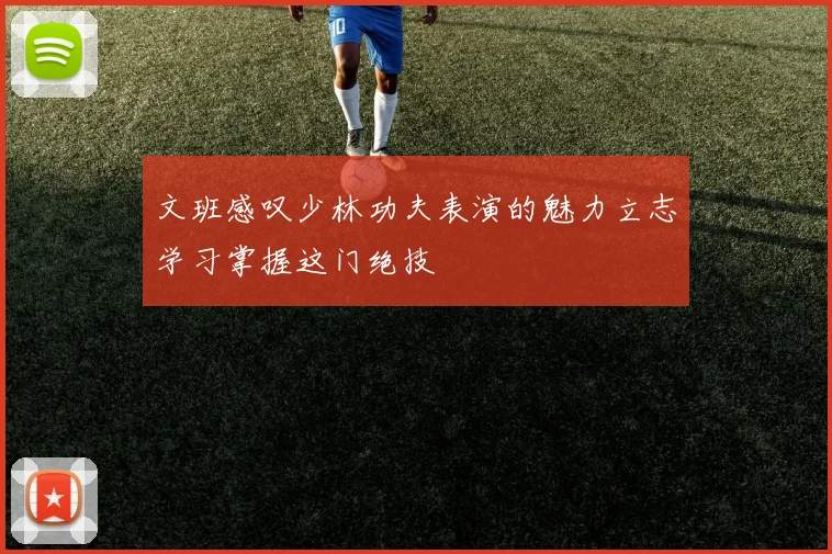 文班感叹少林功夫表演的魅力立志学习掌握这门绝技